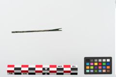 Foto von Bronzenagelreiniger (NHMW-PRAE-024108)